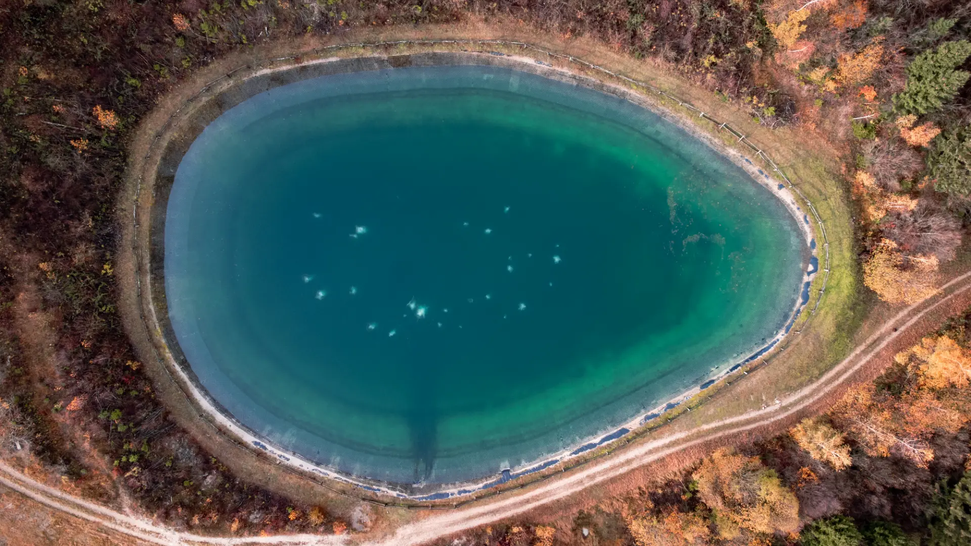 Jezero obdano z gozdom, posneto iz zraka, z jasno modro-zeleno vodo.