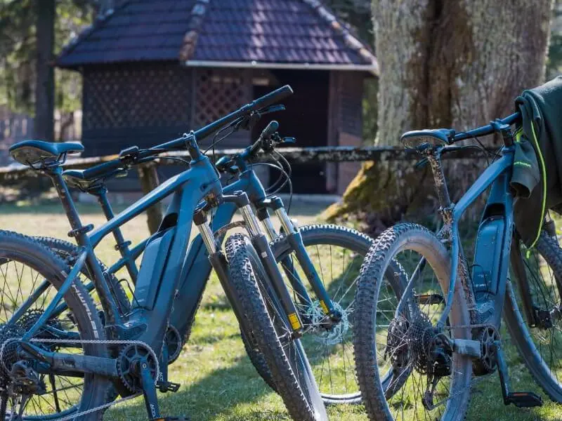 Več električnih koles parkiranih ob drevesu na travniku, v ozadju je lesena hiška.