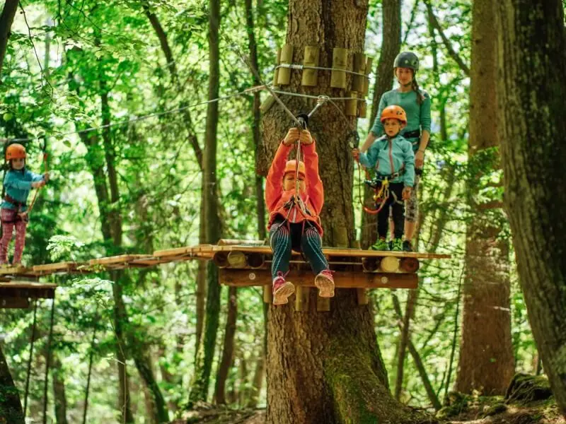 Skupina otrok na gozdni adrenalinski poti v plezalnih pasovih in čeladah.
