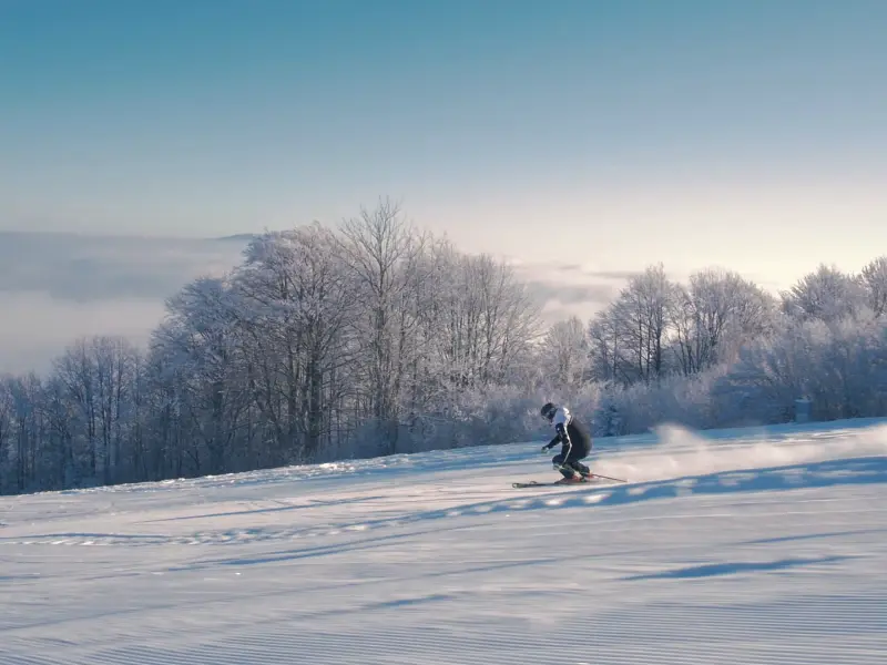 A person is skiing down a snowy slope, surrounded by snow-covered trees, under a blue sky.