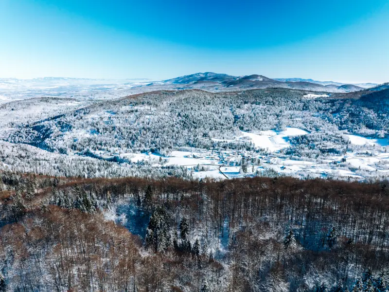 Winter view of a snowy forested landscape with hills in the background